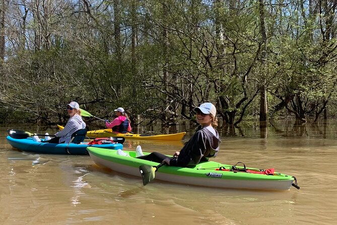kayak-tour-of-the-honey-island-swamp-and-backwaters