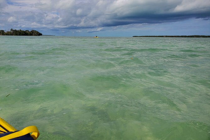 kayak-trip-1-wet-hike-2-dry-hikes-in-everglades-national-park