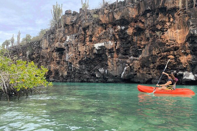 kayaking-experience-in-franklin-bay