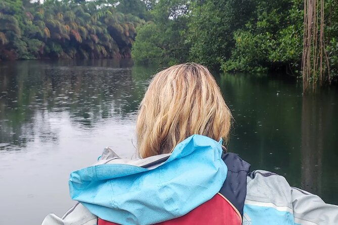 kayaking-tour-in-gandoca-lagoon-throug-mangrove-forest