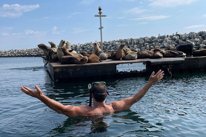 kayaking-with-sea-lions-in-a-calm-beautiful-harbor