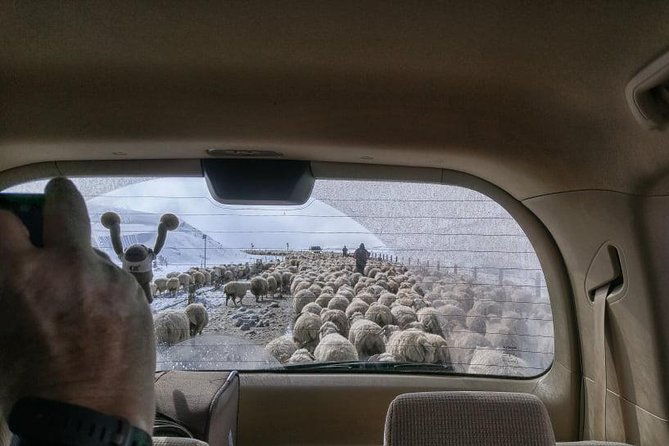 kazbegi-adventure-private-day-trip-from-tbilisi-with-a-dinner-masterclass-2