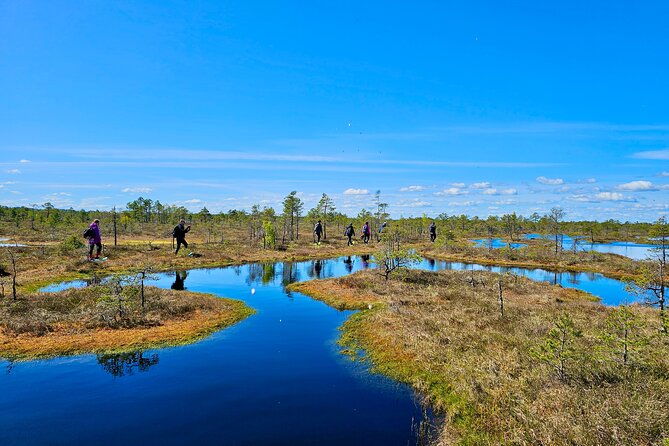 kemeri-bogs-adventure-explore-wetlands-in-bog-shoes