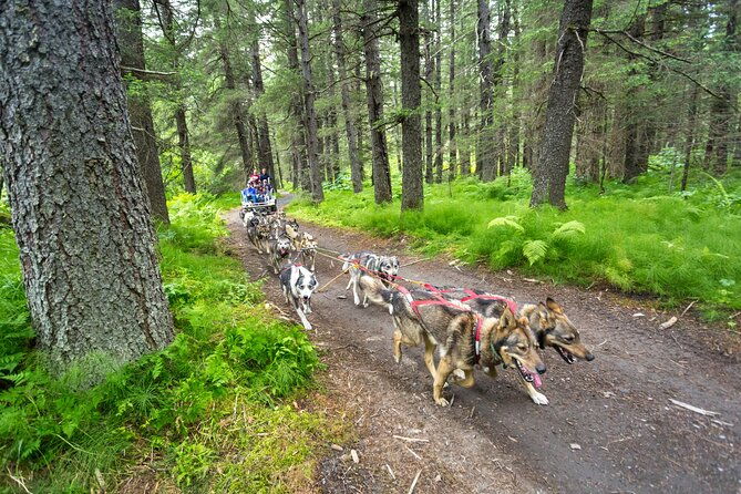 kennel-tour-and-dog-sled-ride