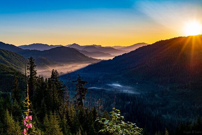 ketchikan-backcountry-driving-tour-through-the-tongass