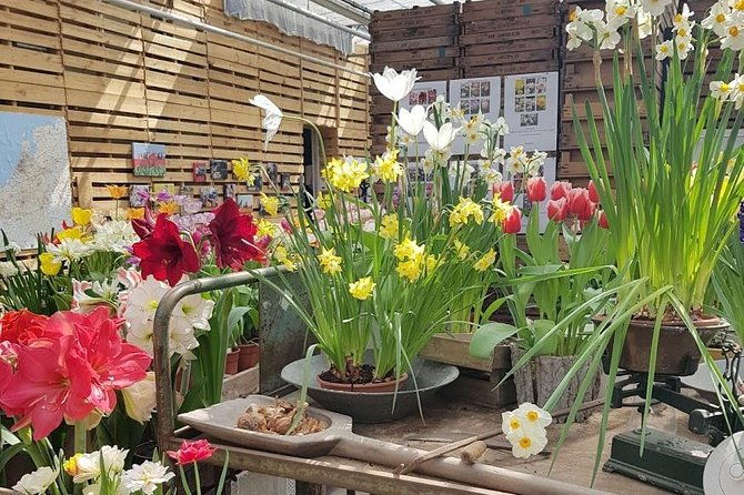 keukenhof-skip-the-line-tickets-countryside-farm-private-tour