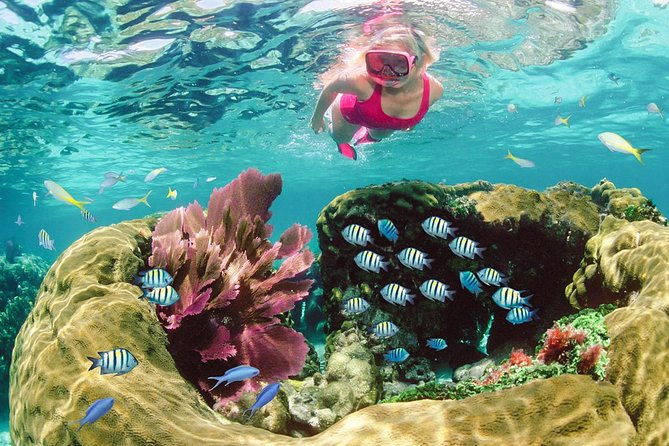 key-largo-snorkeling-tour-rental-mask-fins-and-vest-included