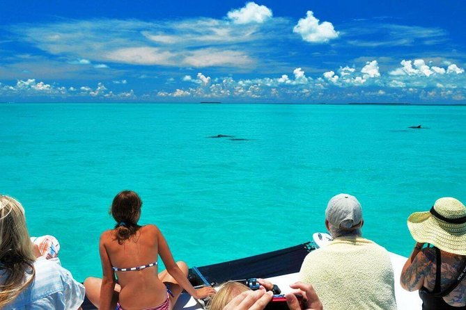 key-west-day-trip-from-miami-with-activities-2