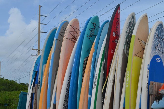 key-west-stand-up-paddleboard-rental-2