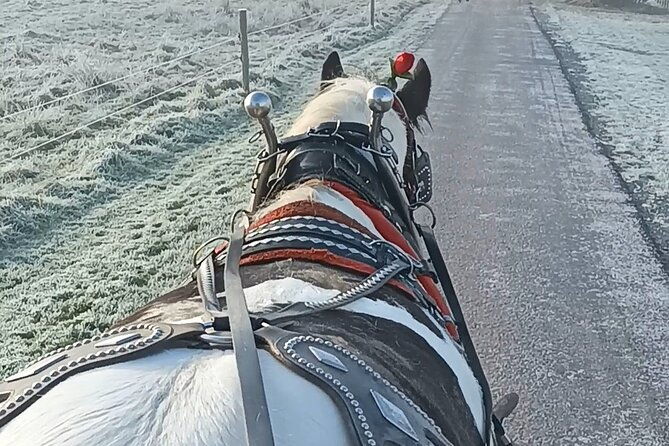 killarney-jaunting-car-tour