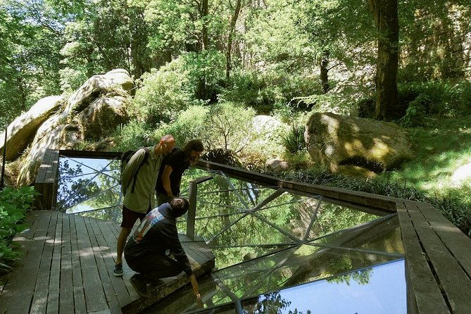 know-sintra-through-the-eyes-of-a-local-archeologist-private-tour