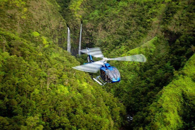 kohala-waterfalls-with-exclusive-landing-helicopter-tour-2