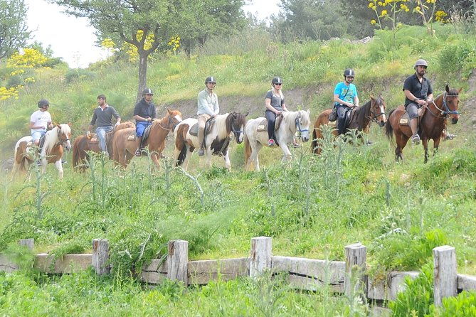 kusadasi-horse-riding-beach-and-forest-with-transfer-3
