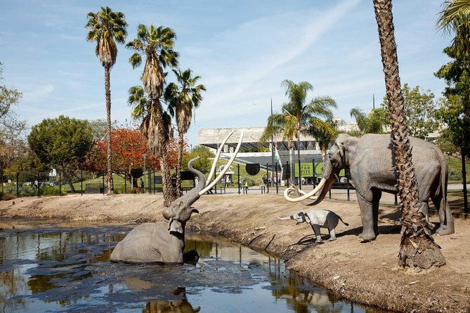 la-brea-tar-pits-and-museum-admission-ticket-with-excavator-tour
