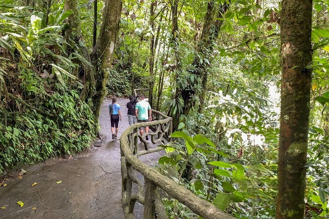 la-fortuna-arenal-hanging-bridges-hiking-tour