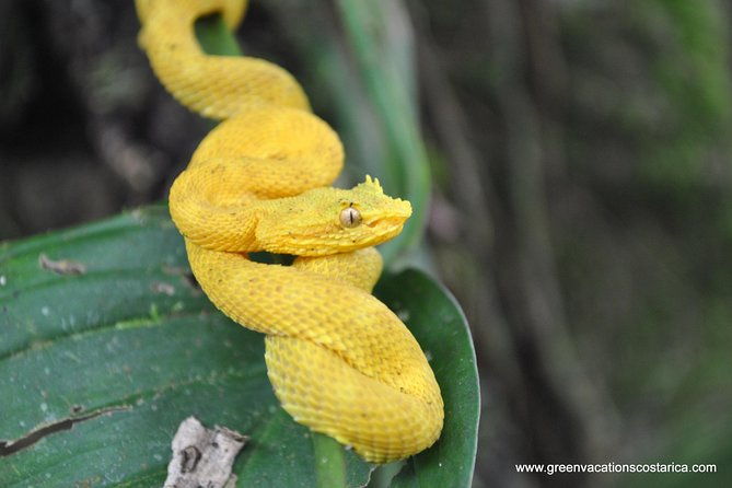la-fortuna-wildlife-safari-float-tour