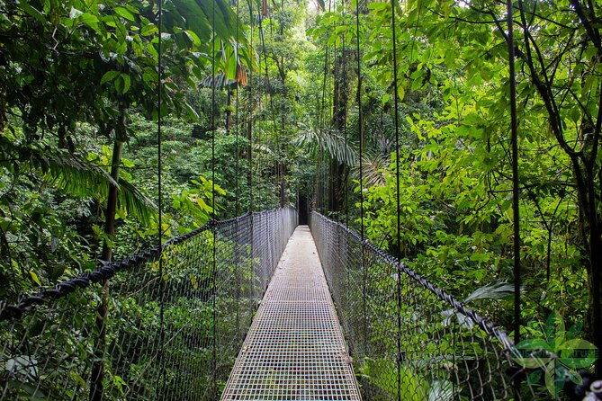 la-fortunas-3-essentials-private-tour