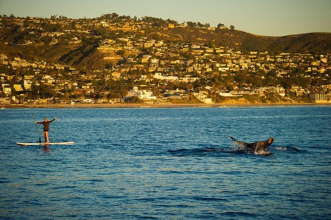 laguna-beach-sup-lesson-and-tour
