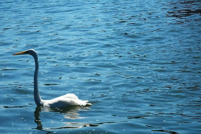 lake-nicaragua-kayak-tour