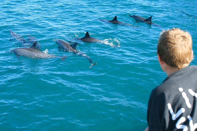 lanai-snorkel-and-dolphin-watch-from-maalaea