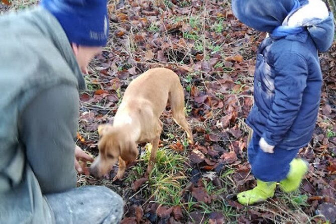 langhe-truffle-hunting-experience