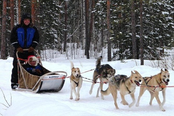 lapland-reindeer-and-husky-safari-from-levi