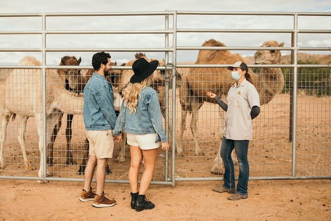las-vegas-safari-tram-ride-and-zoo-tour-at-camel-safari-2