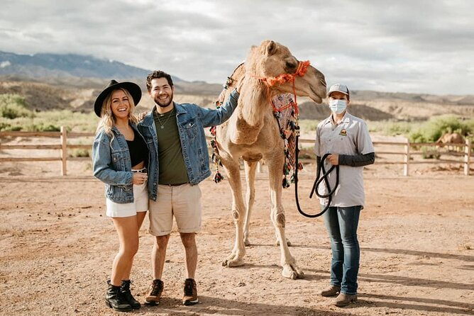 las-vegas-safari-tram-ride-and-zoo-tour-at-camel-safari