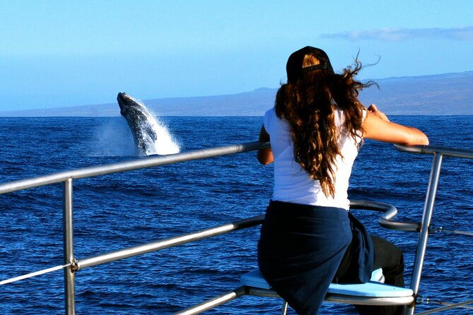 late-morning-whale-watch-cruise-from-abay