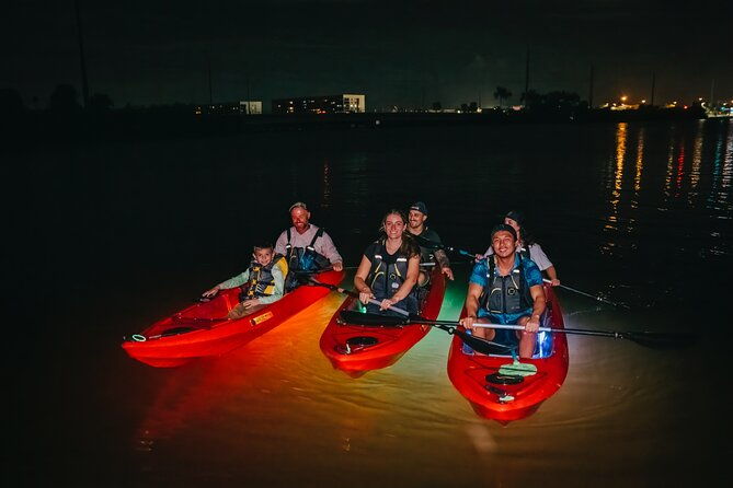 led-bio-comb-jelly-clear-bottom-kayak-or-paddleboard-tour
