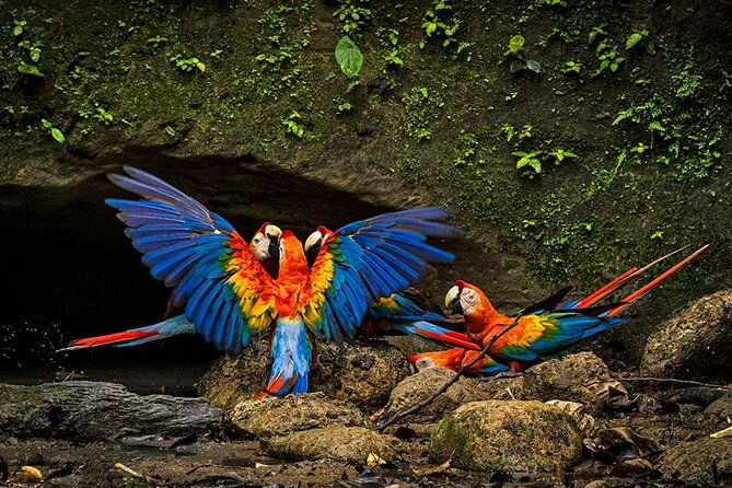 limoncocha-biological-reserve-yasuni-national-park-tropical-andes-to-amazon