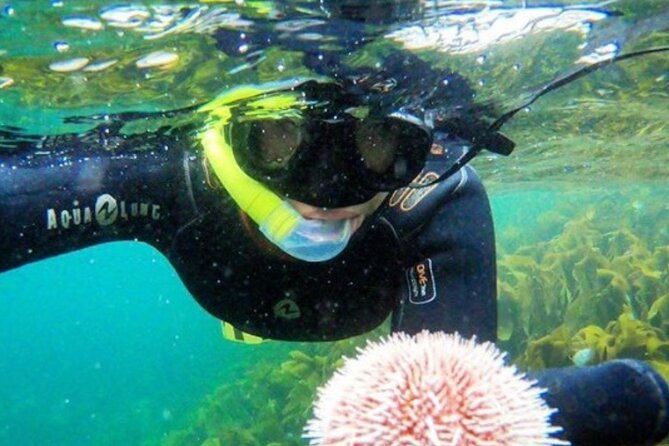 lofoten-grand-canyon-snorkeling-tour