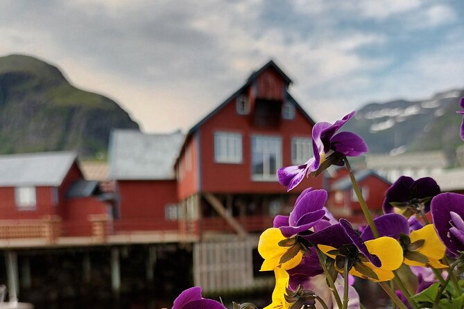 lofoten-vip-private-tour-from-leknes-city-port-4
