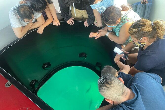 long-beach-glass-bottom-boat-eco-tour-2
