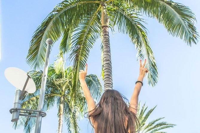 los-angeles-half-day-tour-downtown-hollywood-rodeo-drive-farmers-market