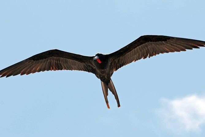 los-haitises-national-park-and-cayo-levantado-island-day-trip-from-samana