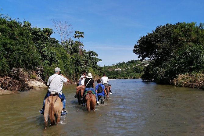 los-naranjos-beach-horseback-riding-tayrona-park