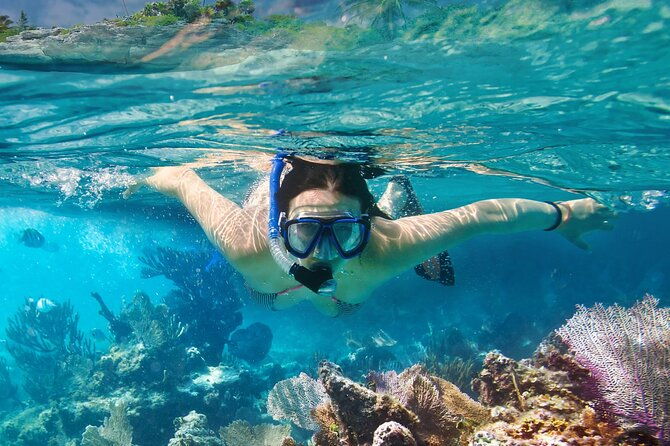 los-tuneles-day-tour-snorkeling-exploring-and-swimming-with-wildlife