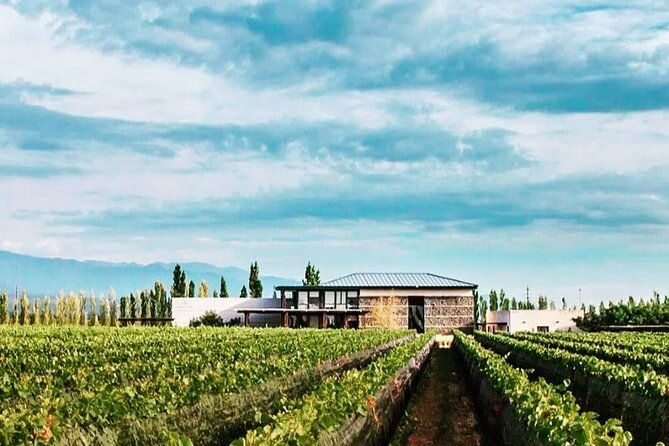 lujan-wine-tasting-guided-experience-with-lunch