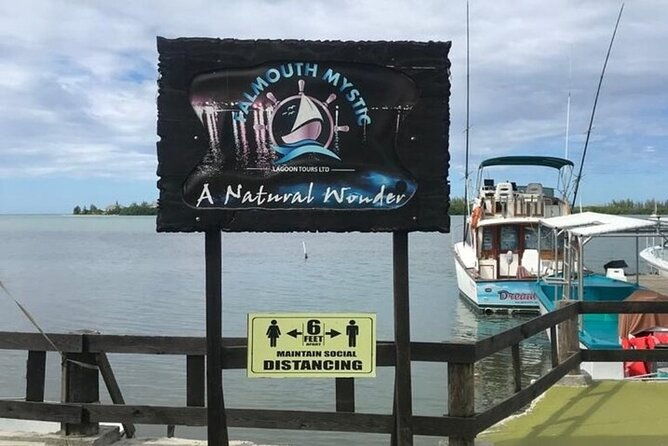 luminous-lagoon-dark-night-tour-from-ocho-rios-and-runaway-bay-hotels