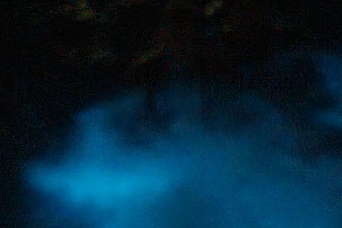 luminous-lagoon-glistening-waters-private-tour-from-montego-bay
