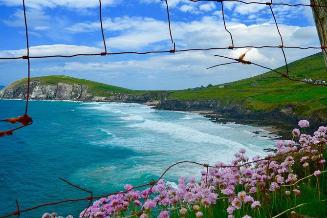 luxury-photography-day-tour-on-dingle-peninsula-fully-guided-and-chauffeured-2