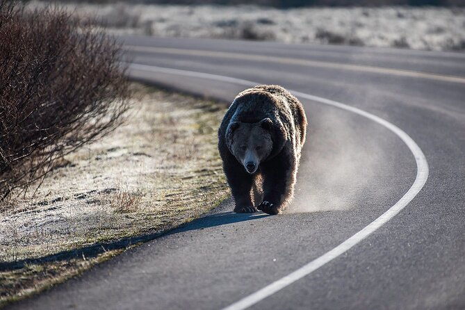luxury-private-grand-teton-national-park-full-day-tour-2