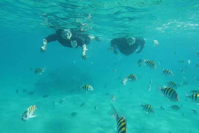 luxury-snorkeling-on-your-vacation-exclusively-private-guaranteed