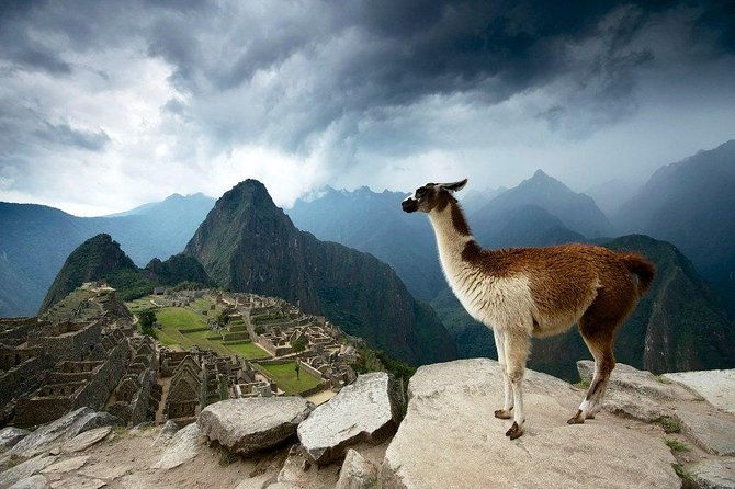machu-picchu-official-entrance-ticket