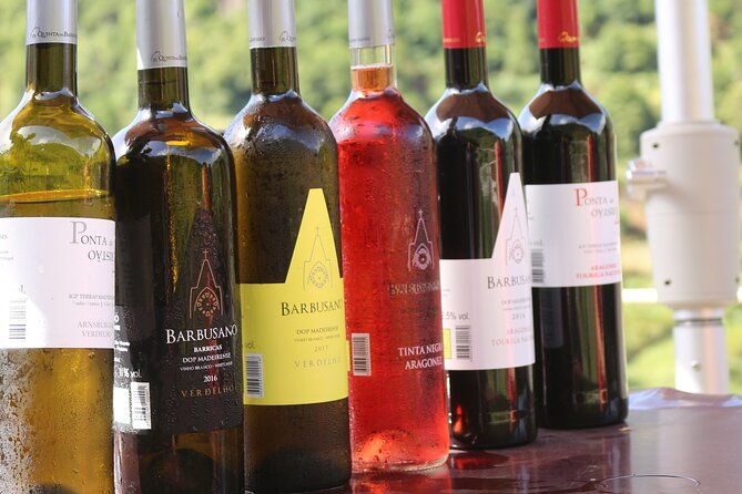 madeira-island-private-wine-full-day-tour-in-all-terrain-vehicle