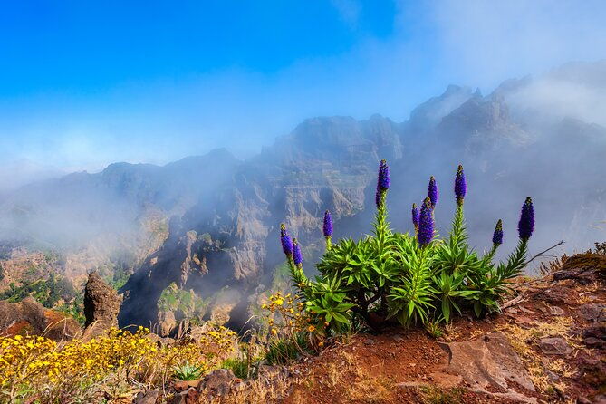madeira-stairway-to-heaven-to-larano-hike-mountain-to-sea