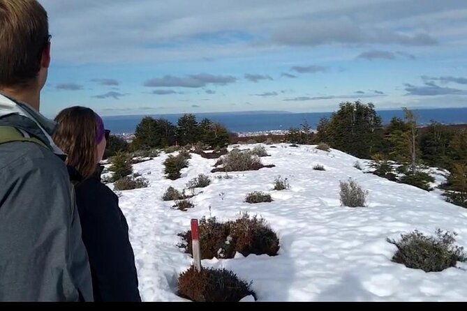 magallanes-national-reserve-and-punta-arenas-city-tour