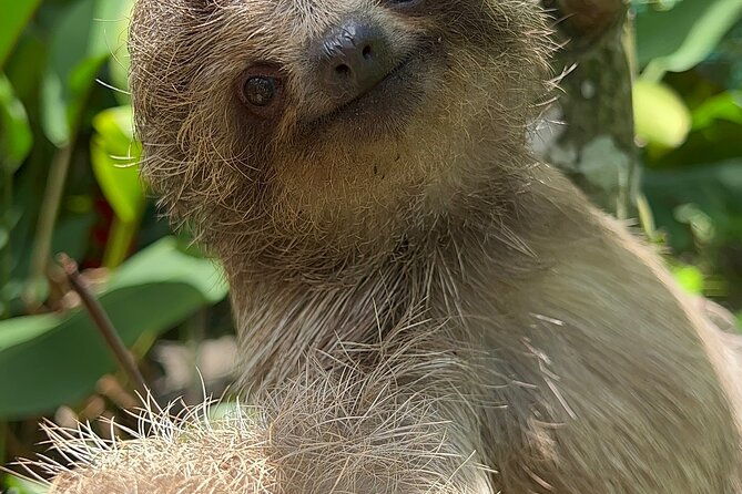 magic-of-the-rainforest