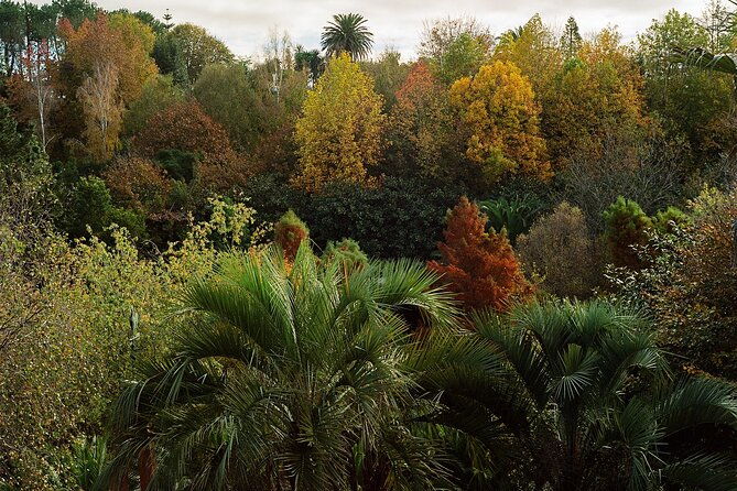 magical-and-exclusive-private-visit-to-the-fonte-baxa-garden-luarca